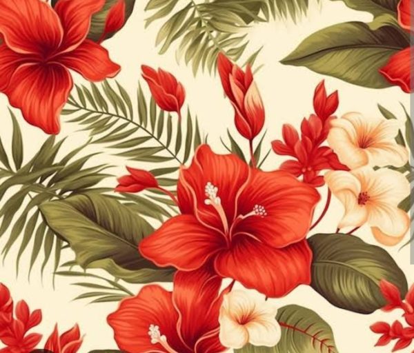 alt="red hibiscus and cream background"