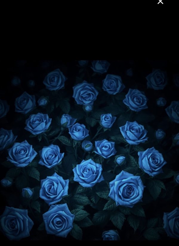 alt="blue roses"