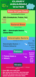 Alt="cloudy water in fish tank infographic "