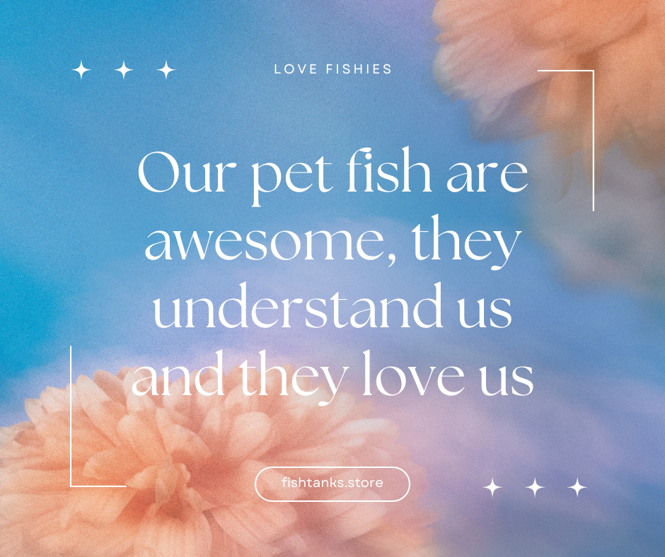 we love our pet fish