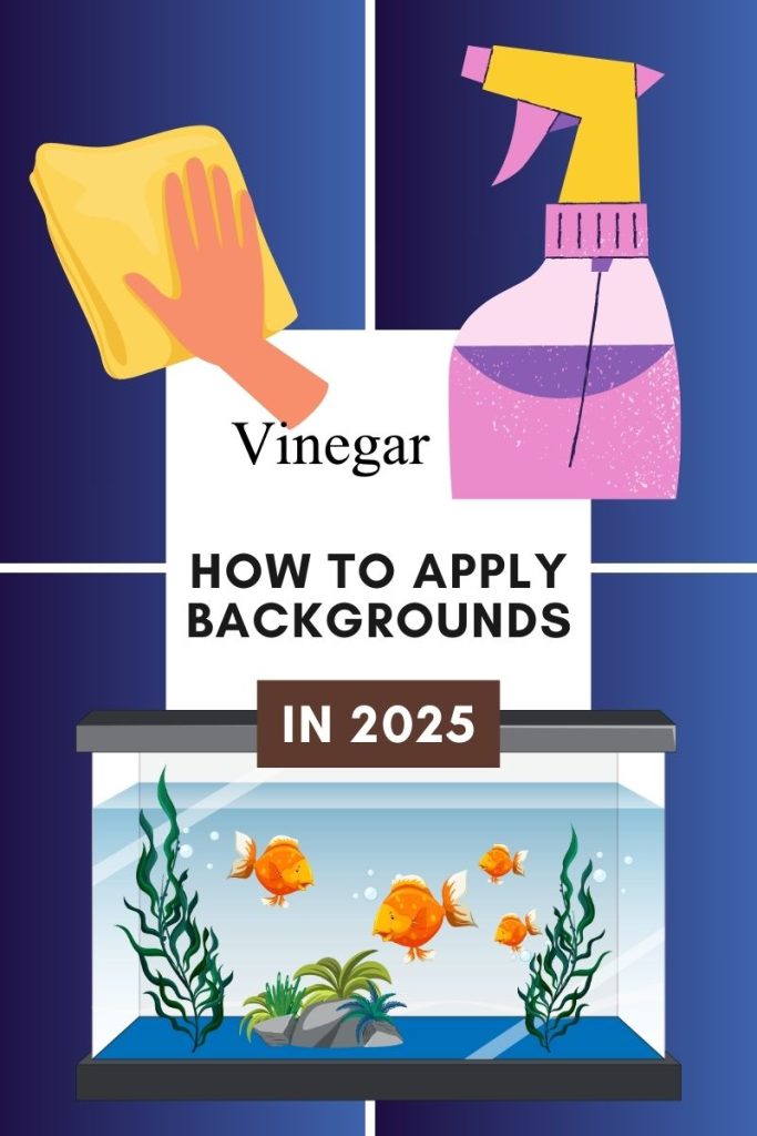 alt="how to apply and keep background clean"