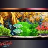 alt="with beautiful aquarium background "