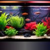 alt='aquarium mistakes no background tank with black background "