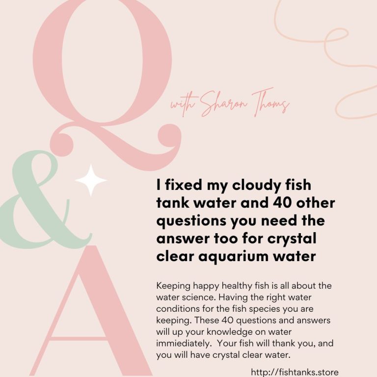 alt="q and a about crystal clear aquarium water 40 most asked questions and answers"
