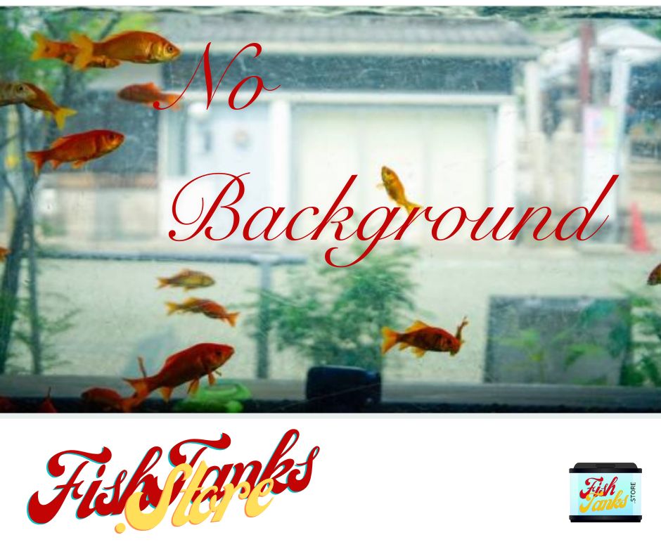 alt="style your tank with a fish tank background