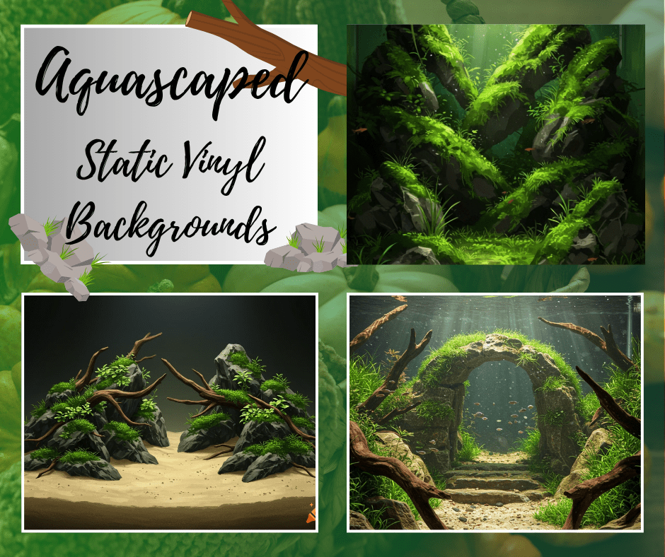 aquascape fish tank background fish tank decoration