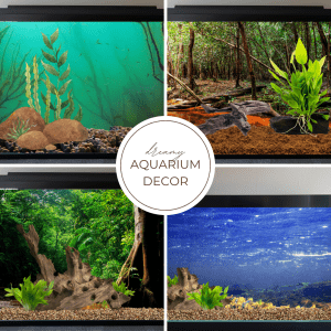 Four aquarium decor designs displayed.
