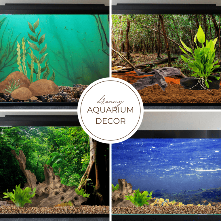 Four aquarium decor designs displayed.
