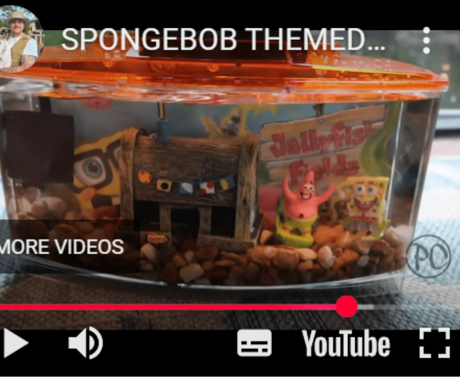 spongebob fish tank kit small aquarium