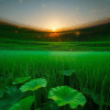 under the rice paddies 2