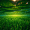 Under the rice paddies 4