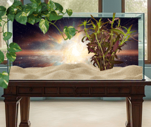 andromeda galaxy dark fish tank background