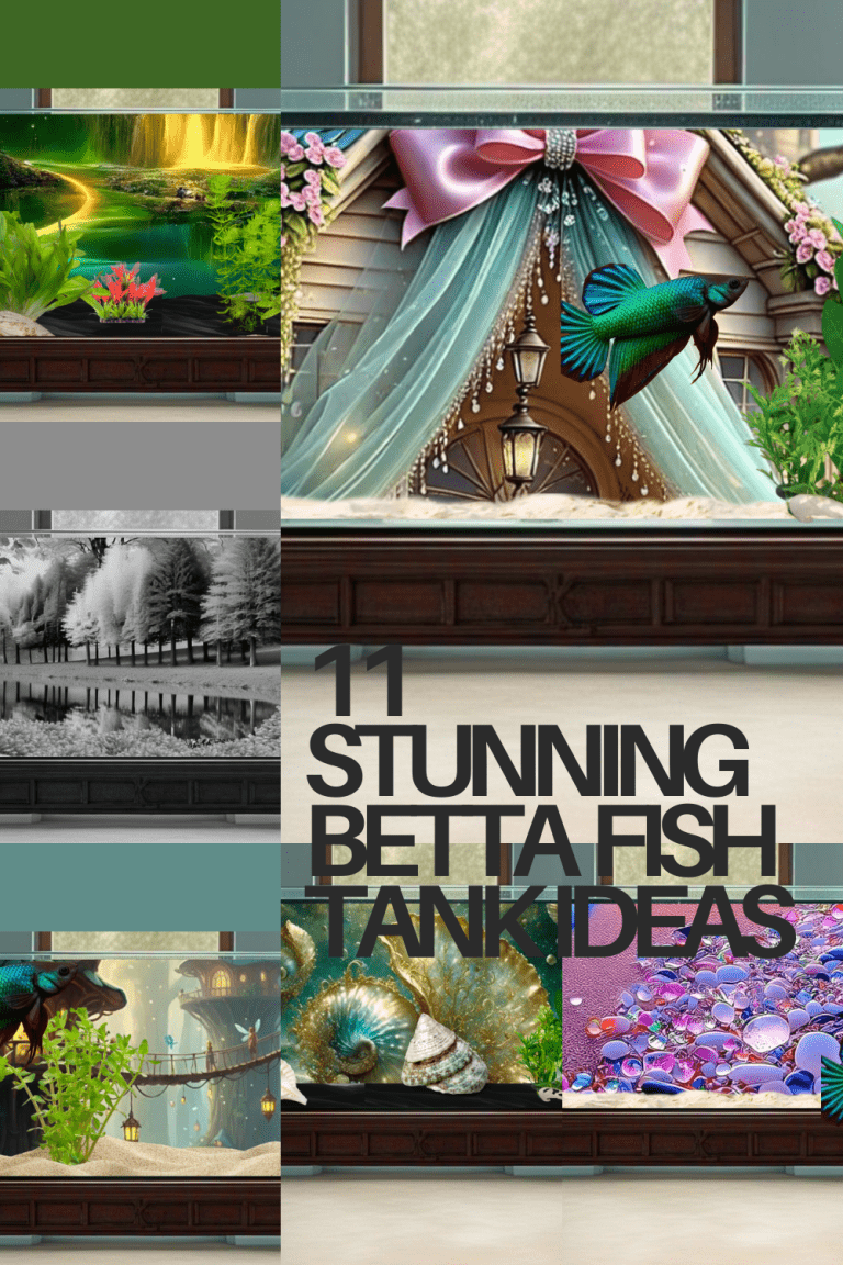 11 betta fish tank setup ideas